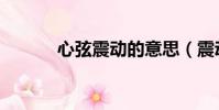 心弦震動的意思(震動的意思)