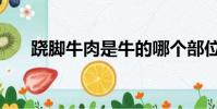 蹺腳牛肉是牛的哪個部位(蹺腳牛肉)