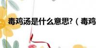 毒雞湯是什么意思?(毒雞湯是什么意思)
