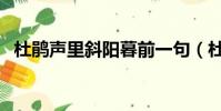 杜鵑聲里斜陽暮前一句(杜鵑聲里斜陽暮)