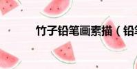 竹子鉛筆畫素描(鉛筆畫素描)