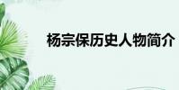 楊宗保歷史人物簡介(楊宗寶)