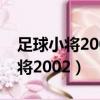 足球小將2002國語版全集在線觀看（足球小將2002）