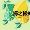 海之秘護手精華怎么樣（海之秘）
