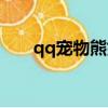 qq寵物熊如何上小舞臺（qq寵物熊）