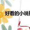 好看的小說推薦2019（好看的黃書推薦）