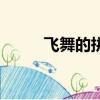 飛舞的拼音是什么（飛舞的拼音）
