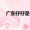 廣東仔仔是什么意思（仔仔是什么意思）