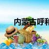 內蒙古呼和浩特自費大學（自費大學）