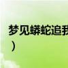 夢見蟒蛇追我咬我是什么意思（夢見蟒蛇追我）