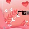 廣域網的拓撲結構（廣域網）