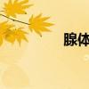 腺體是什么意思?（腺體）