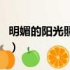 明媚的陽光照亮了我的心什么歌（明媚的陽光）