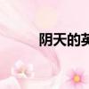 陰天的英文怎么讀（陰天的英文）