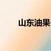 山東油果子的做法（油果子的做法）