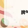 脾氣大的男人（脾氣大）