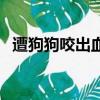 遭狗狗咬出血了（被夠狗咬了出血怎么辦）
