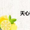 天心軟件下載（天心外掛）