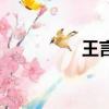 王言央視主持人（王言）