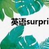 英語surprise什么意思（rise什么意思）