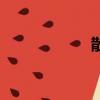 散子連點器（散子）