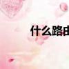 什么路由器好用（什么路由器好）