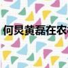 何炅黃磊在農村做飯是什么節目（何炅黃磊）