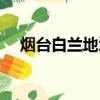 煙臺白蘭地酒價格表（白蘭地酒價格表）