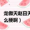 龍傲天趙日天和葉良辰是什么梗（趙日天是什么梗啊）