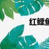 紅鯉魚與綠鯉魚與驢（紅鯉）
