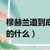 穆赫蘭道到底講的什么豆瓣（穆赫蘭道到底講的什么）