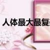 人體最大最復雜的內分泌器官（內分泌器官）
