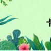 卡拉蜂網（卡拉蜂）