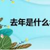 去年是什么年庚子年嗎（去年是什么年）