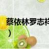 蔡依林羅志祥極限挑戰演唱會（蔡依林羅志祥）