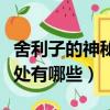 舍利子的神秘之處有哪些呢（舍利子的神秘之處有哪些）