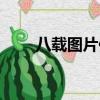 八載圖片保護官網（八載圖片保護）