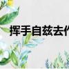 揮手自茲去作文800字初二（揮手自茲去）