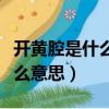 開黃腔是什么意思網絡用語（開黃腔可以嗎什么意思）