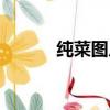 純菜圖片是合葉嗎（純菜圖片）