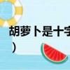 胡蘿卜是十字花科的嗎（胡蘿卜是十字花科嗎）