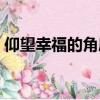 仰望幸福的角度什么意思（仰望幸福的角度）