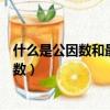 什么是公因數和最大公因數概念（什么是公因數和最大公因數）