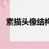 素描頭像結構圖解析起形（素描頭像結構）