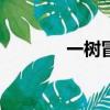 一樹冒險島sf（一樹冒險島）