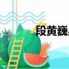 段黃巍身高（段黃巍打劉羽琦）