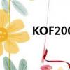 KOF2003和KOF13（kof2003）