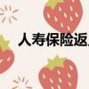 人壽保險返點怎么算（保險返點怎么算）
