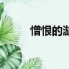 憎恨的漩渦演員表（憎恨的漩渦）
