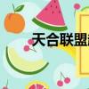天合聯盟超級精英會員（天合聯盟）